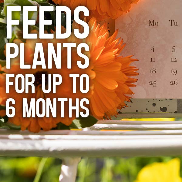 Feeds plants for up to 6 months