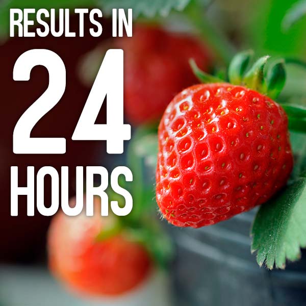 Results in 24 hours