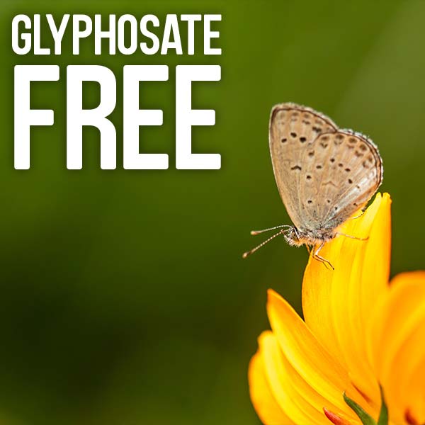 Glyphosate free