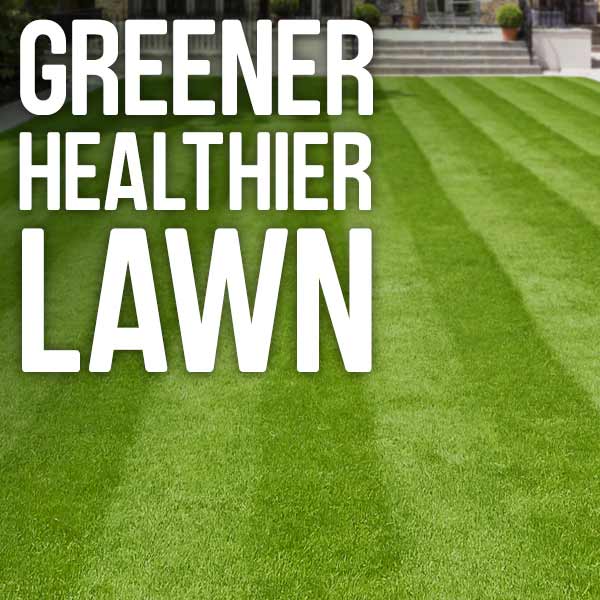 Greener healthier lawn