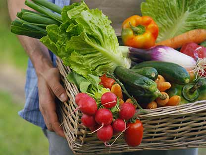 claim-harvesting-vegetables.jpg For use in organic systems