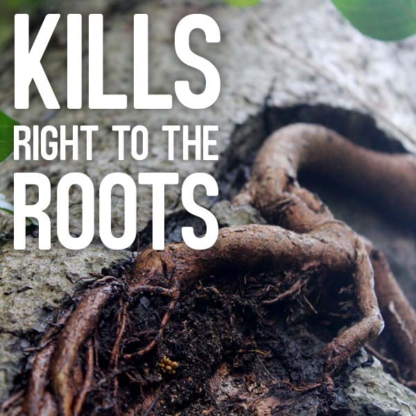 Kills right to the roots