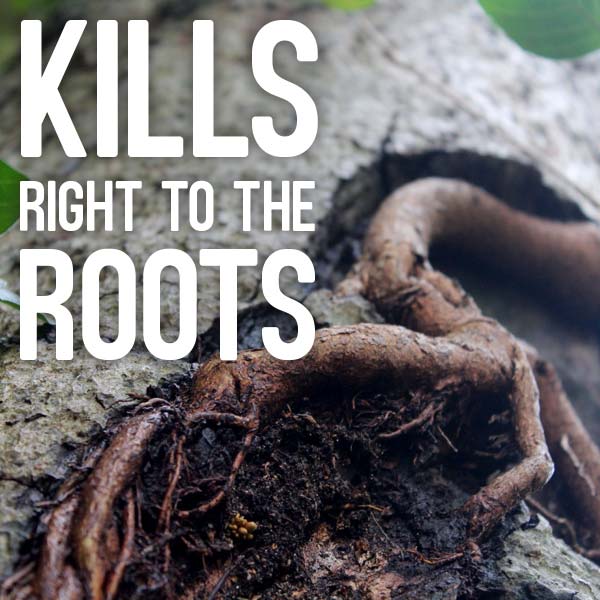 claim-kills-tough-to-roots.jpg Kills right to the roots