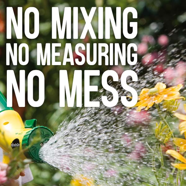 No mixing, no measuring, no mess