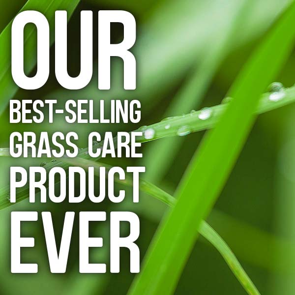 Our bestselling grass care product