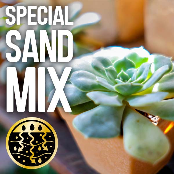 Special sand mix