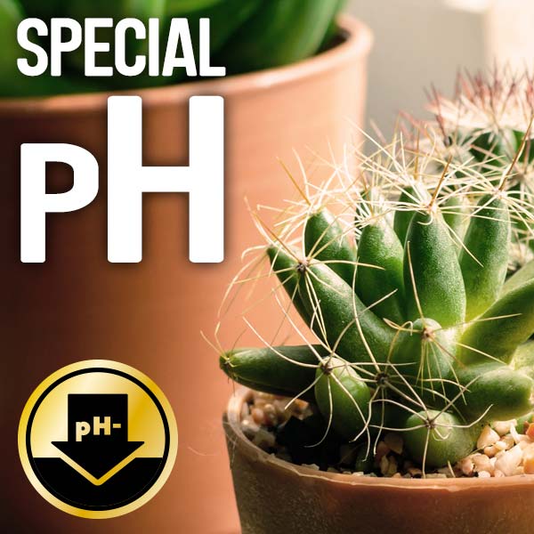 Special pH