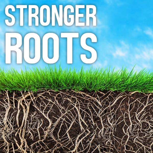 Stronger roots