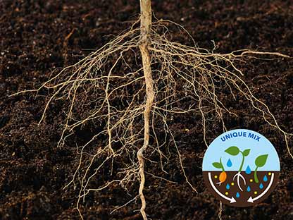 claim-stronger-roots-levington-ji-no1.jpg Unique mix for stronger root development