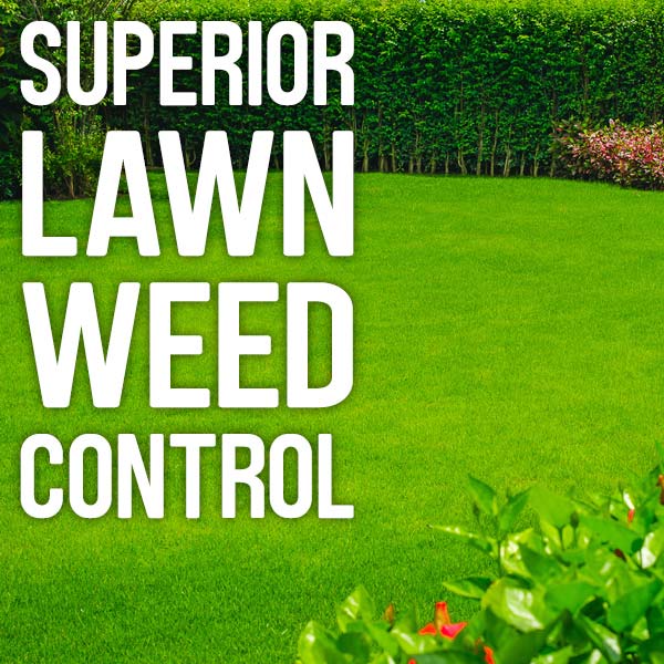 Superior lawn weed control