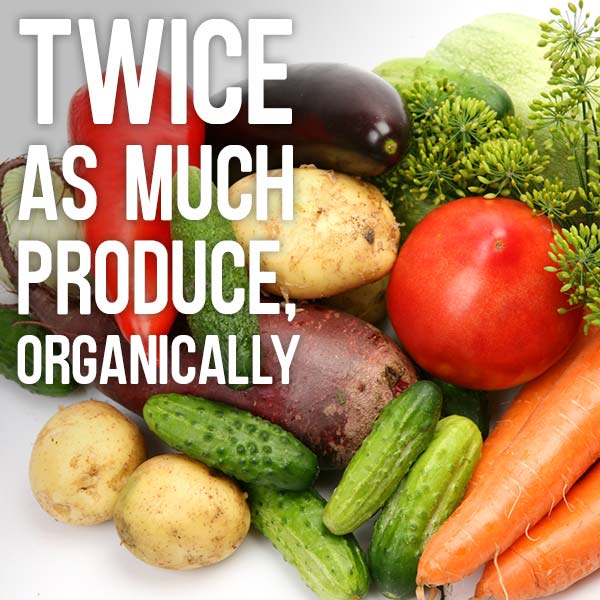 Twice as much produce, organically