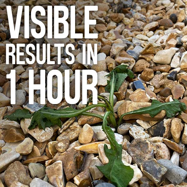Visible results in 1 hour