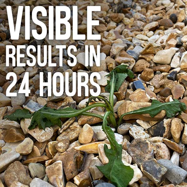 Visible results in 24 hours
