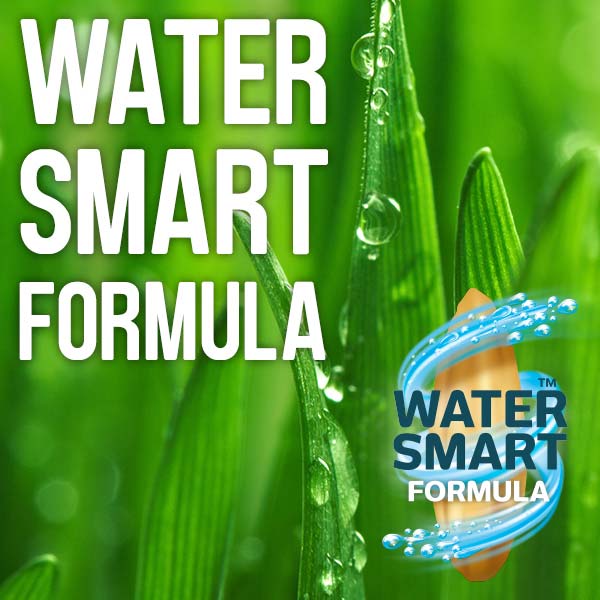 Watersmart formula