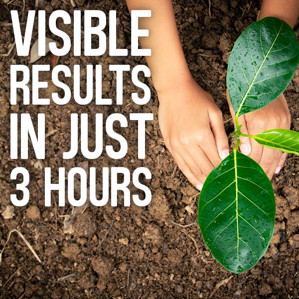 Visible results in just 3 hours