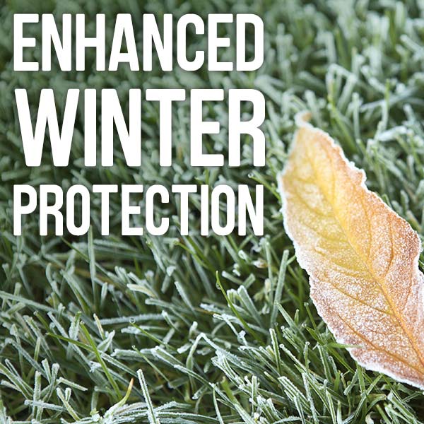 Enhanced winter protection
