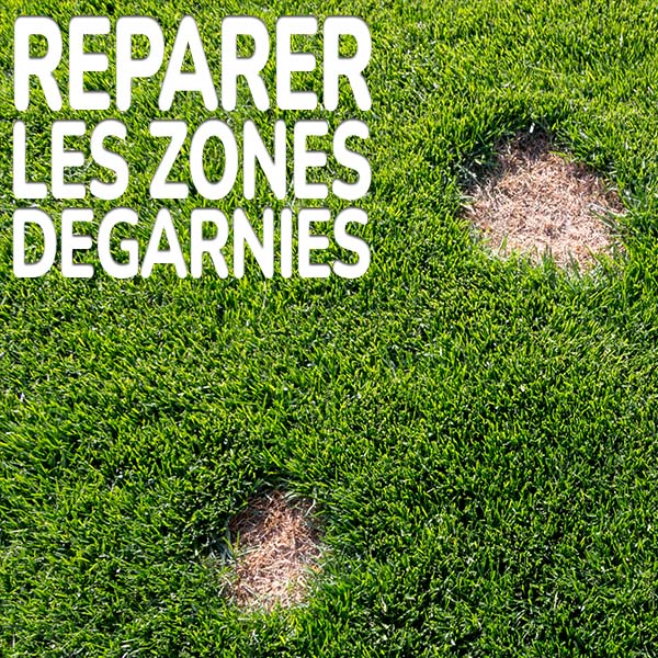 reparer-les-zones-degarnies.jpg Substral Patch Magic® réparer les zones dégarnies