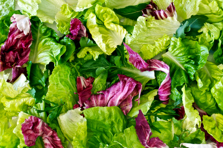 salata_2.png Sałata
