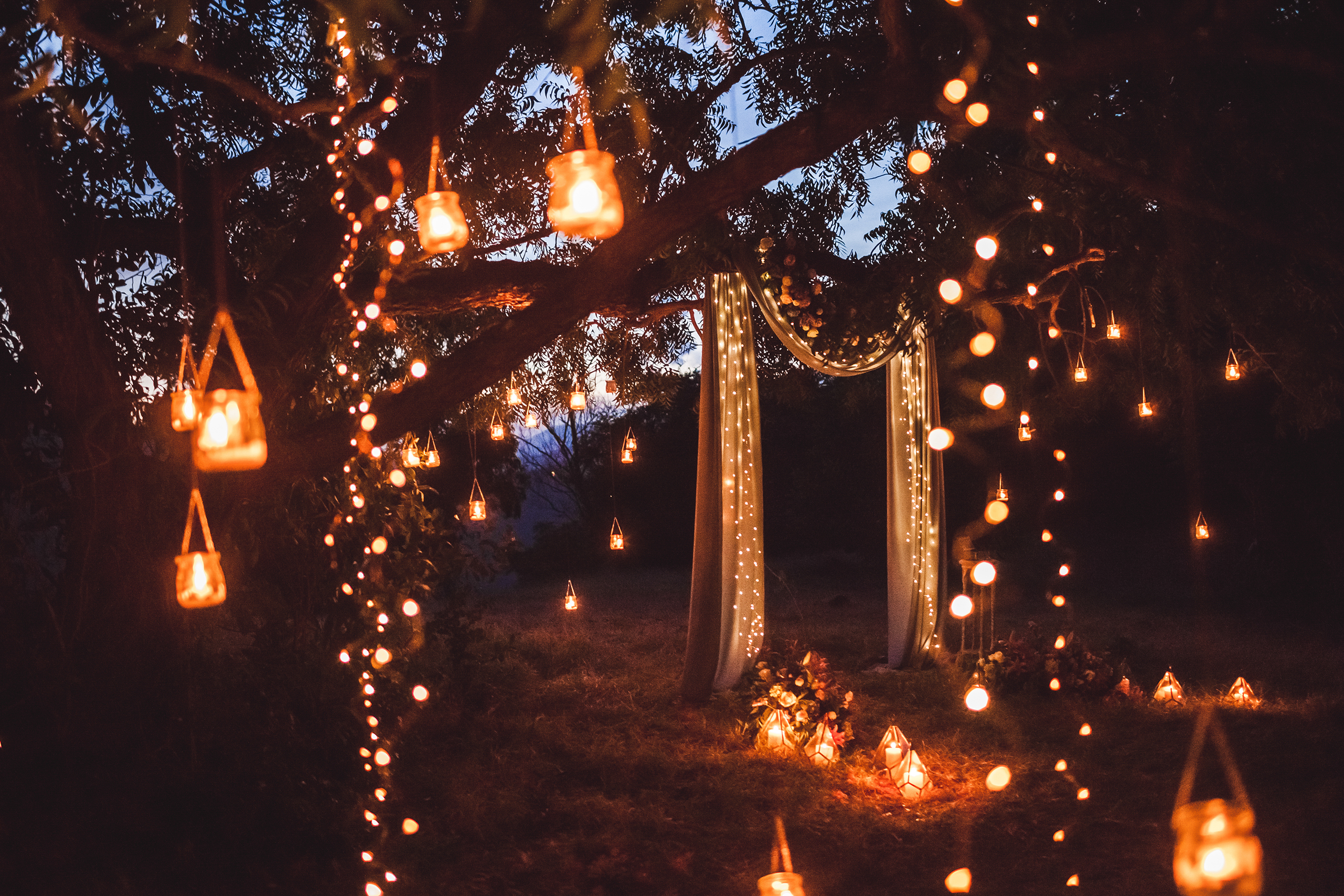 shutterstock_1152557804.jpg How to make your garden cosy for autumn | Miracle Gro