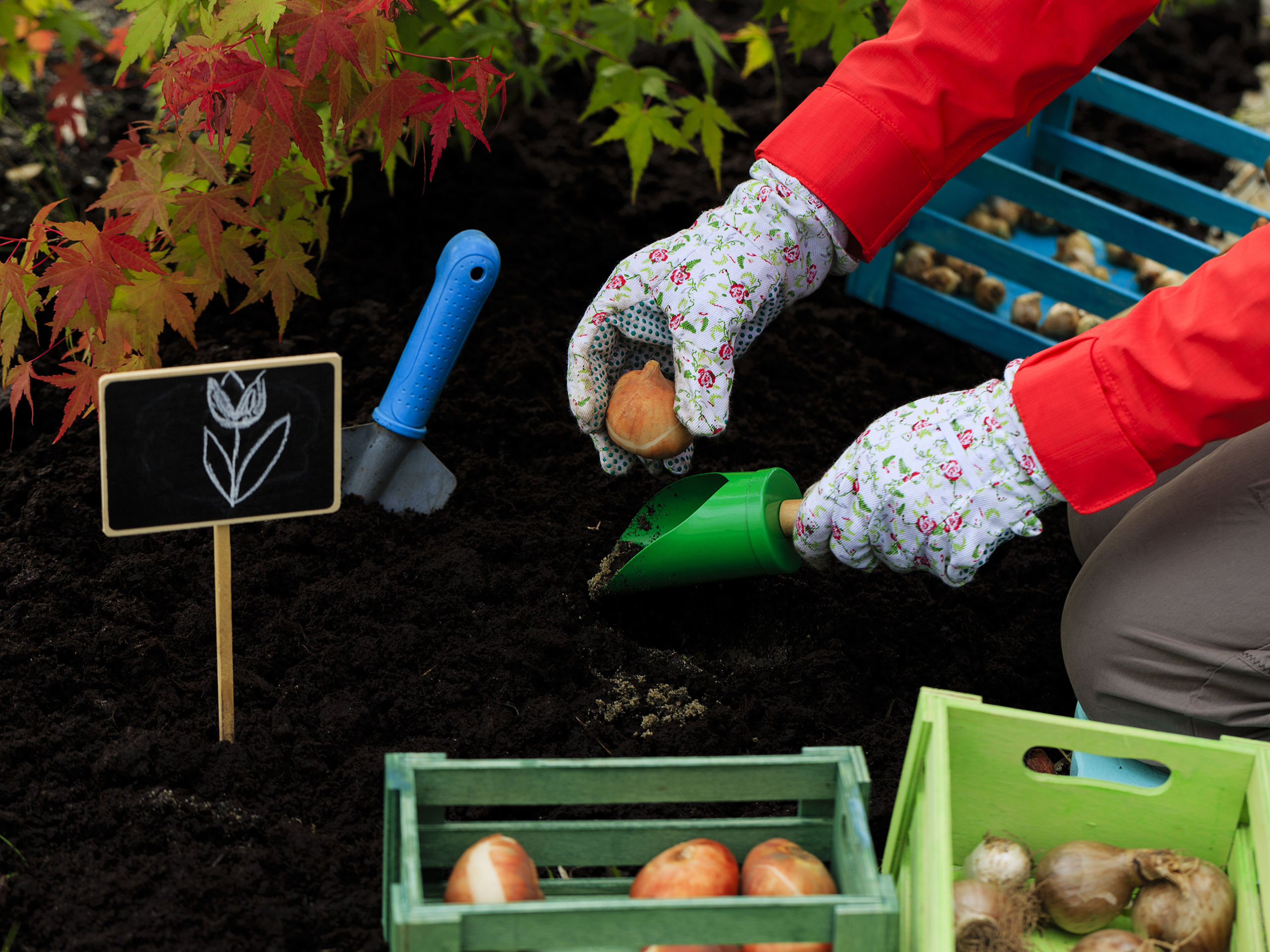 shutterstock_155900531.jpg Bulb planting | David Domoney | Miracle Gro | Love The Garden