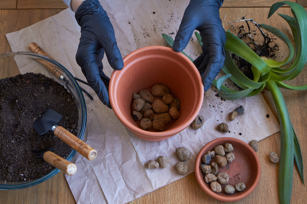 shutterstock_1749871874.jpg Les billes d'argile