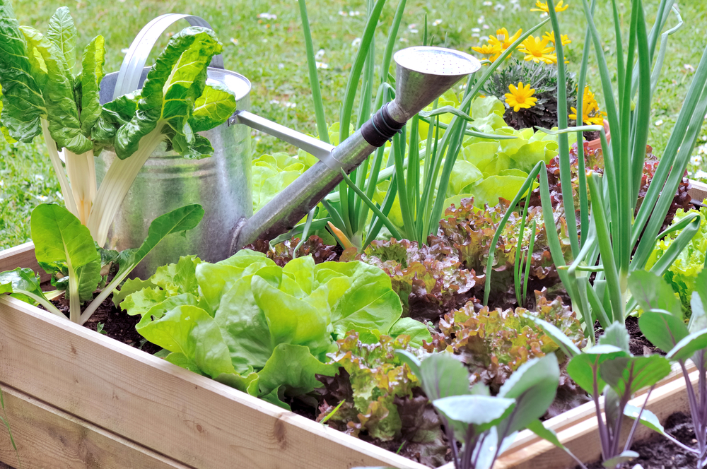 Le top 10 des outils pour le jardin