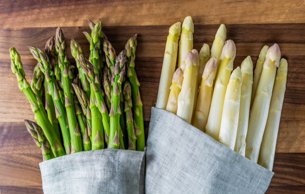 shutterstock_1919098979.jpg Culture et entretien de l'asperge
