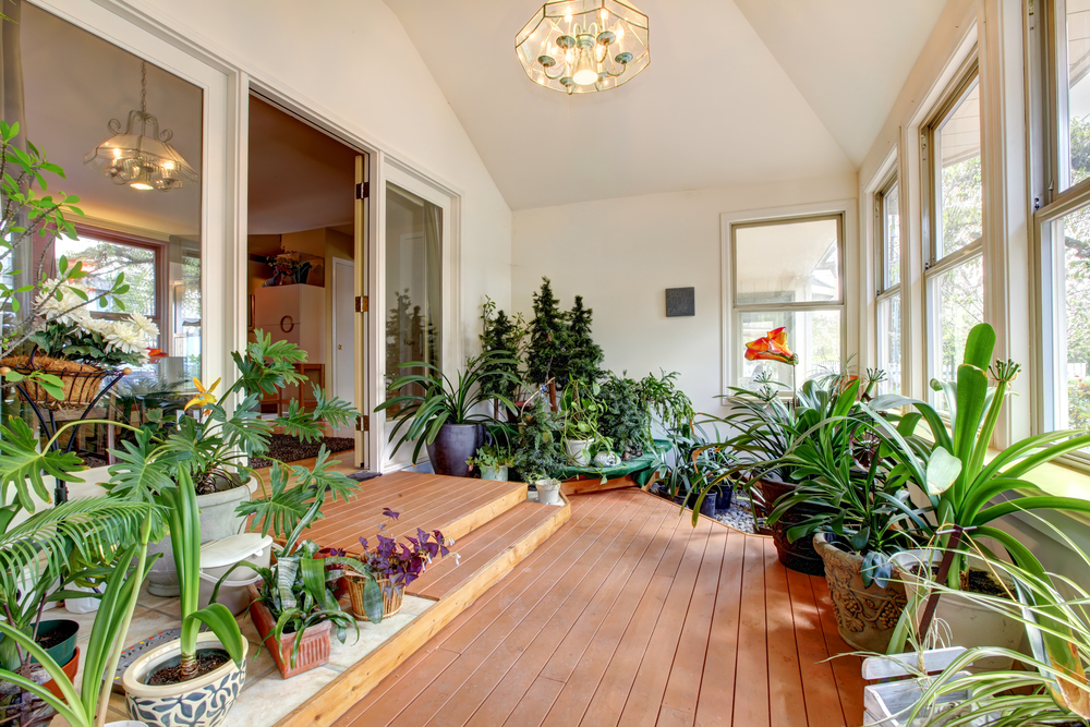 shutterstock_197426411.jpg plantes d'intérieur