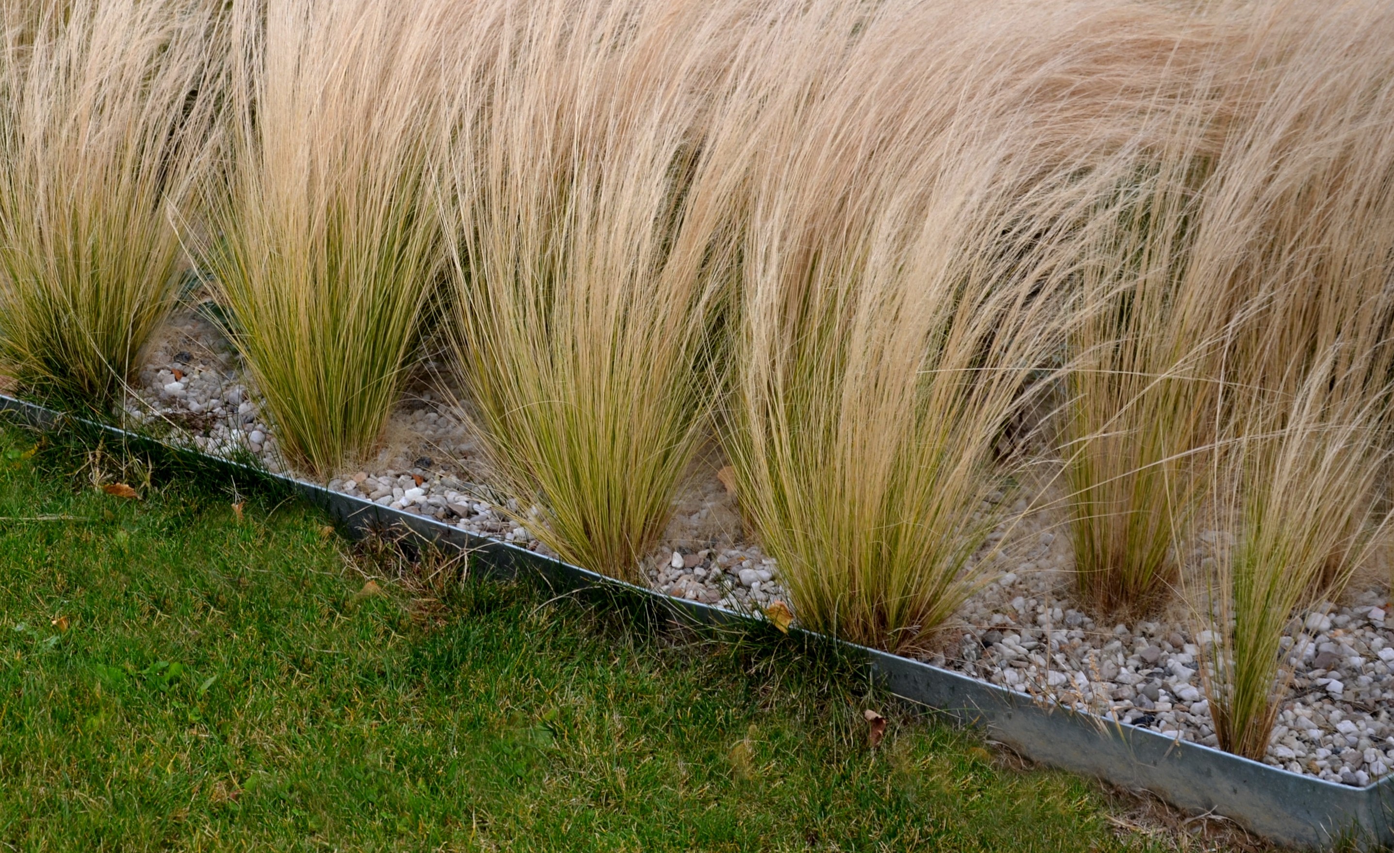 Love the Garden / Lawn / Growing