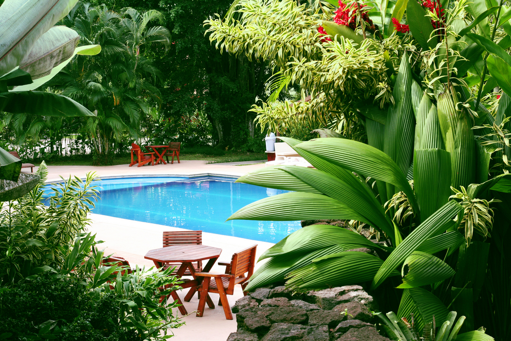 shutterstock_23660404.jpg Aménagez sa piscine avec des plantes