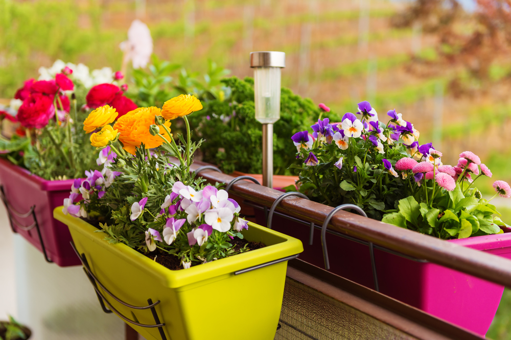 shutterstock_459285544.jpg Pots d'extérieur