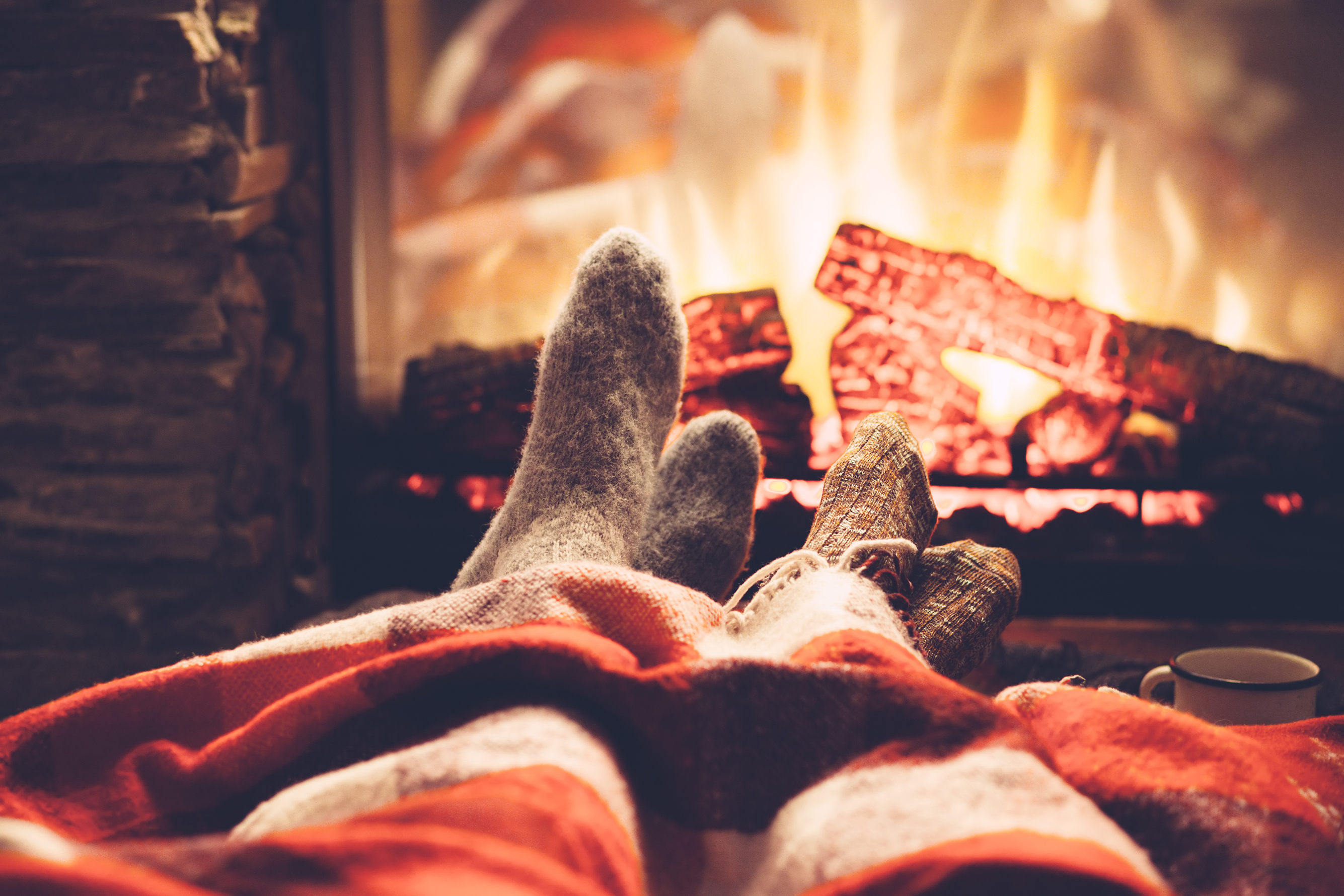 shutterstock_479897929.jpg How to make your garden cosy for autumn | Miracle Gro