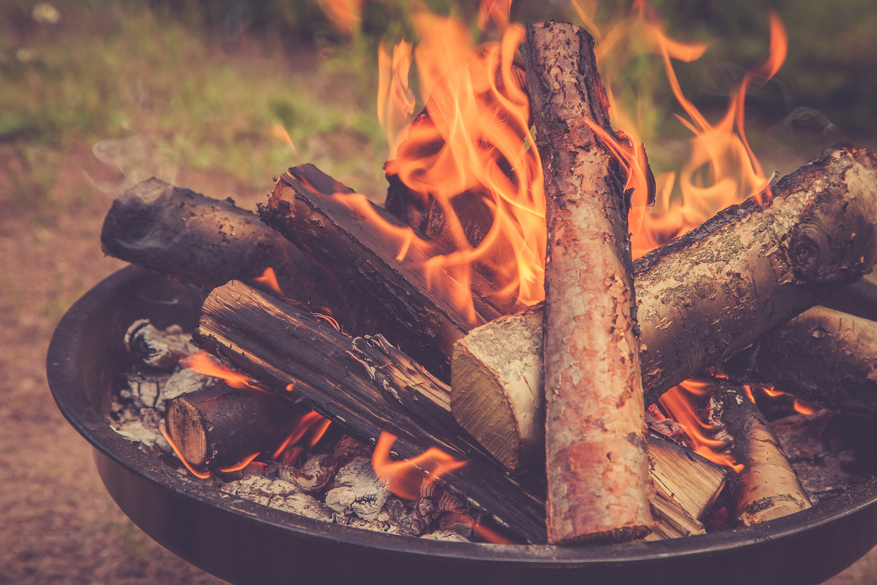 shutterstock_591819845.jpg How to make your garden cosy for autumn | Miracle Gro
