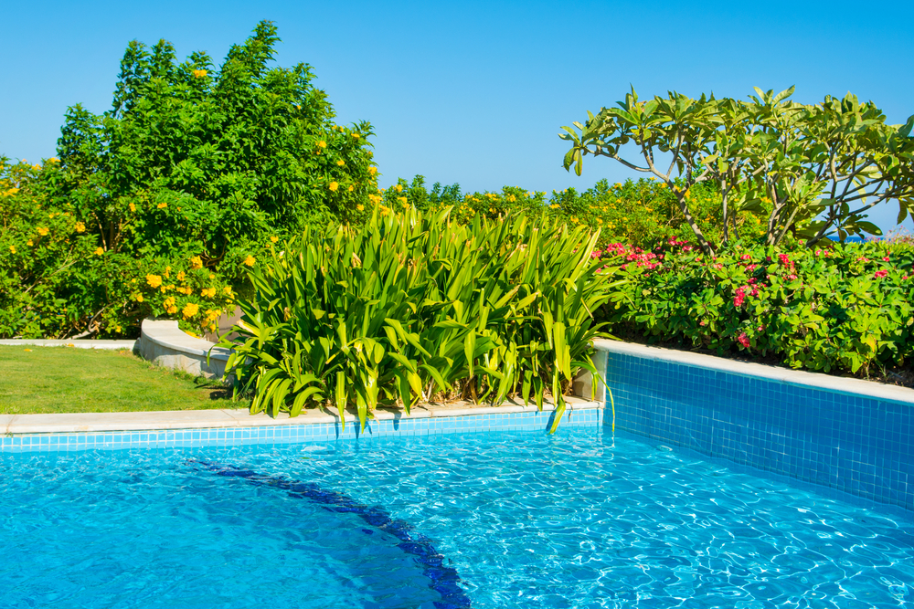 shutterstock_756638182.jpg Aménagez sa piscine avec des plantes