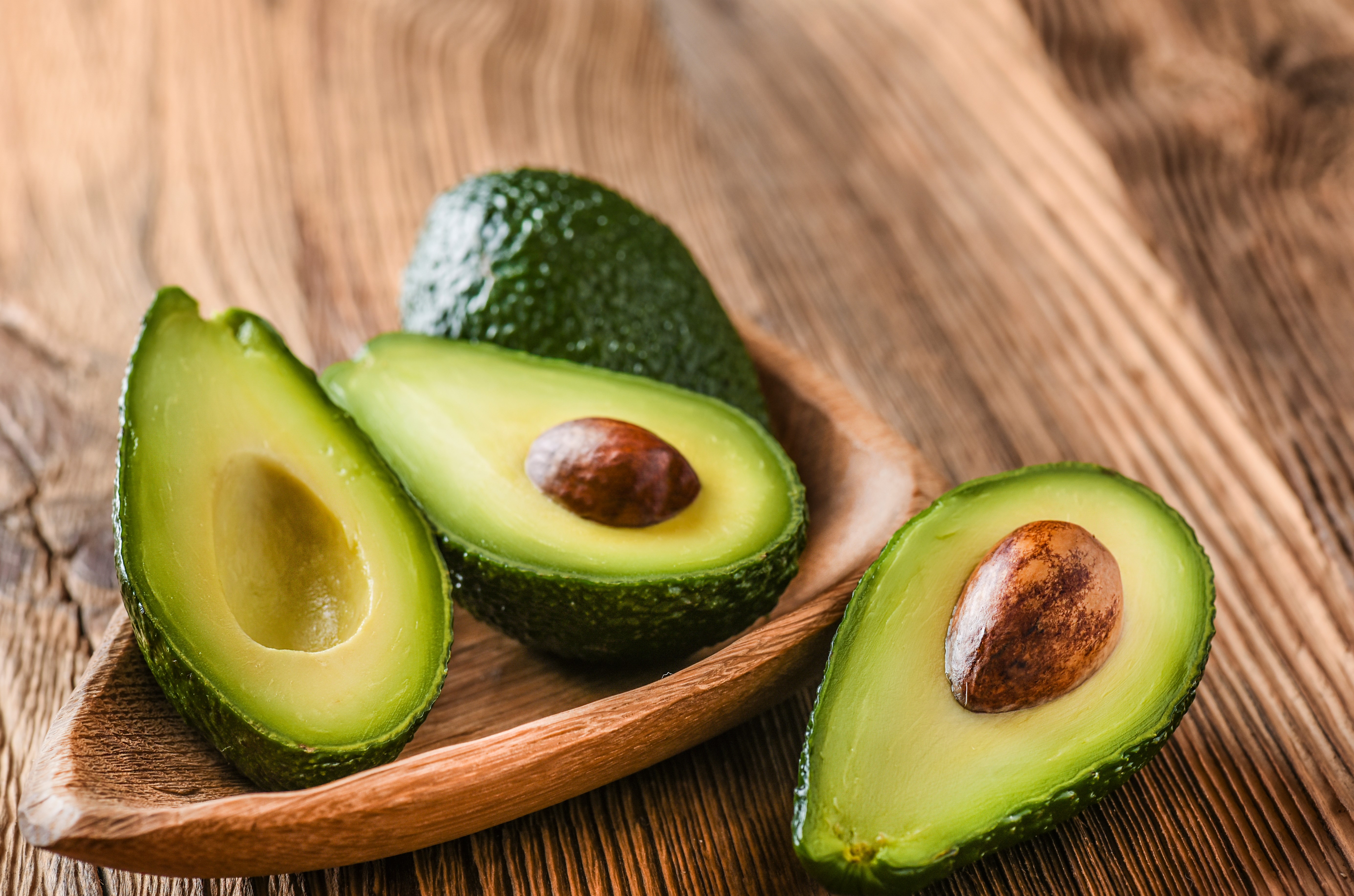 shutterstock_785296315_0.jpg Love the Garden / Avocado / Growing
