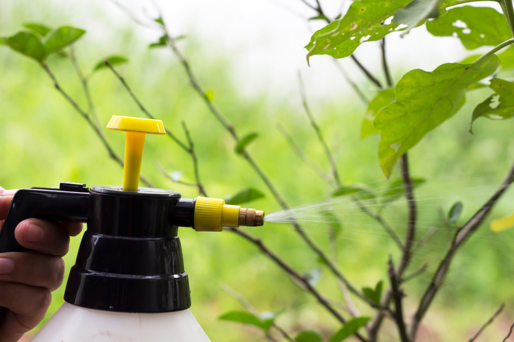 spray_insektycydy.jpg spray insektycydy