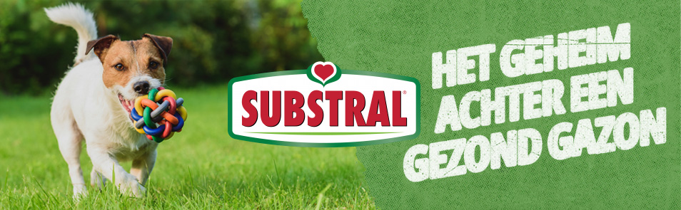 substral-banner-gazon.jpg Substral Gazonmest Greenmax zorgt voor een dikker gezonder gazon