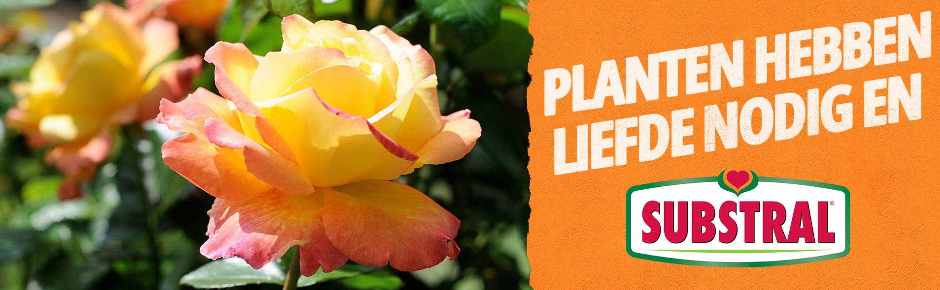 substral-banner-planten-hebben-liefde-nodig.jpg Substral® Komando jouw planten hebben liefde nodig