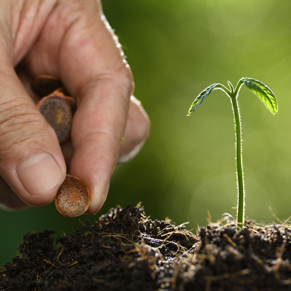 zaaien-planten-mogelijk-na-4u.jpg KB® Herbatak super zaaien en planten mogelijk na 4u