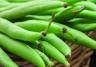 How to Grow French Beans 