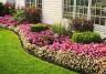 Comment avoir un beau jardin ?
