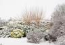 Comment entretenir son jardin en hiver