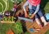 Conseils de jardinage : comment bien attaquer le printemps
