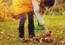 Quels travaux dans son jardin en automne