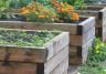 diy pallet garden