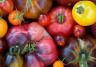 heirloom tomatoes