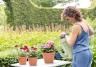 Stralende planten in huis, op het terras, in de tuin en moestuin