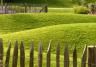 Rasen hinter Zauhn