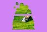Aussie homeowner’s guide to a lush green lawn