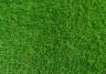 Lawn fertiliser commercial